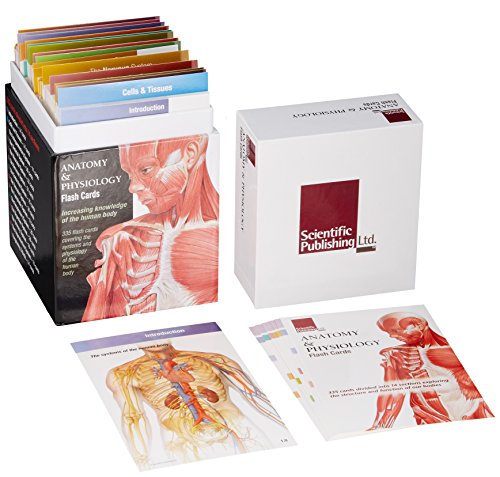 9781932922974: Anatomy and Physiology Flash Cards: Increasing Knowledge of the Human Body