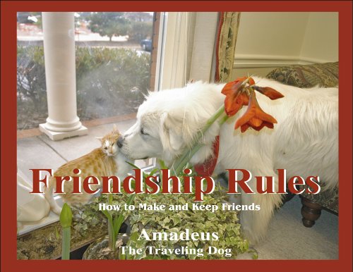 9781932957006: Friendship Rules: How To Make And Keep Friends