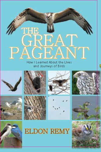 9781933002675: The Great Pageant: How I Learned about the Lives and Journeys of Birds