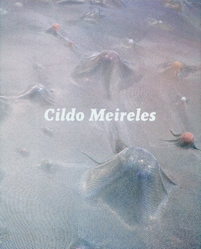 Stock image for Cildo Meireles for sale by HPB-Emerald