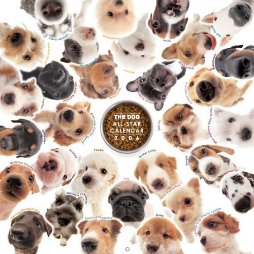 9781933131429: The Dog All-Star (Artlist Collection)