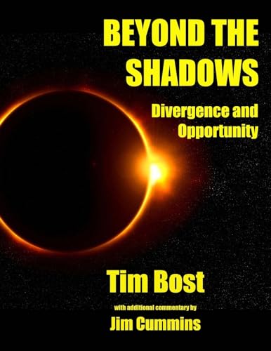 Beispielbild fr Beyond The Shadows: Divergence and Opportunity zum Verkauf von Lucky's Textbooks