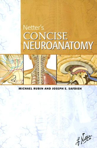 Stock image for Netter's Concise Neuroanatomy for sale by Revaluation Books