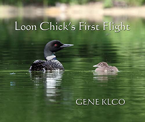 Imagen de archivo de Loon Chick's First Flight a la venta por Books From California