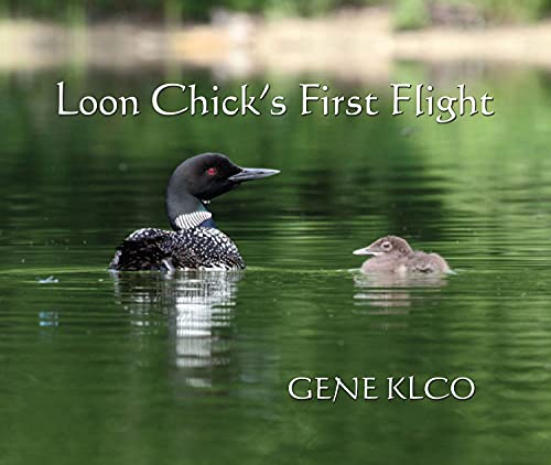 Stock image for Loon Chick's First Flight for sale by Books From California