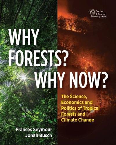 Stock image for Why Forests? Why Now?: The Science, Economics, and Politics of Tropical Forests and Climate Change for sale by ZBK Books