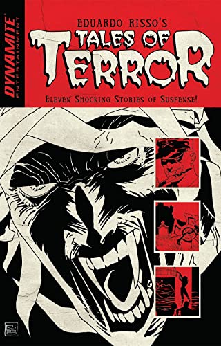 Beispielbild fr Eduardo Risso's Tales of Terror zum Verkauf von WorldofBooks