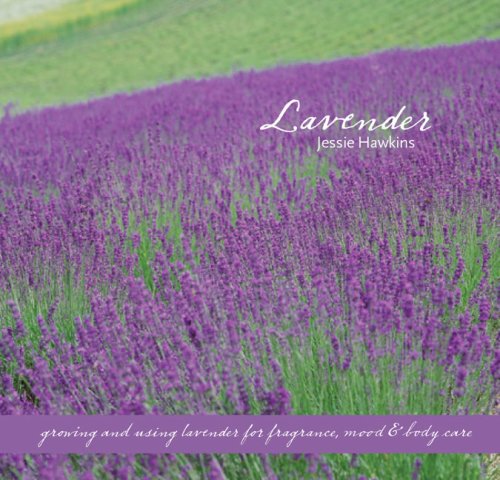 Imagen de archivo de Lavender: Growing & Using Lavender for Fragrance, Mood & Body Care a la venta por Irish Booksellers