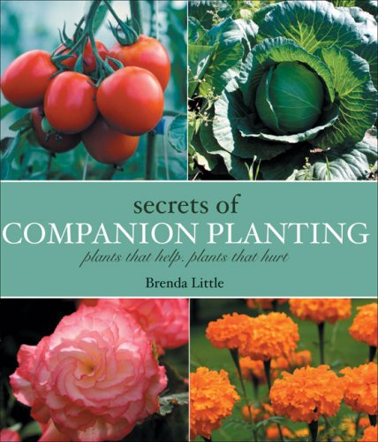 Beispielbild fr The Secrets of Companion Planting : Plants That Help, Plants That Hurt zum Verkauf von Better World Books