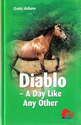 Beispielbild fr Diablo: A Day Like Any Other zum Verkauf von Wonder Book