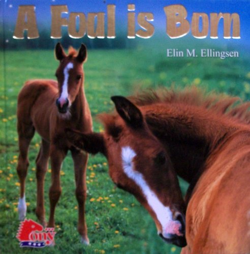 9781933343464: A Foal is Born