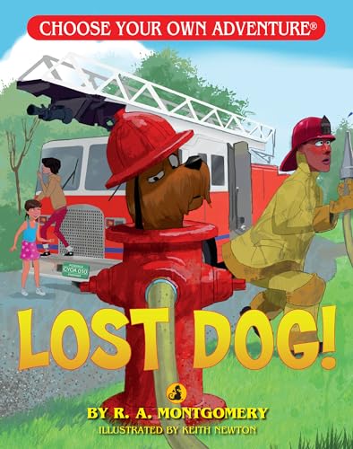 9781933390000: Lost Dog! (Choose Your Own Adventure - Dragonlarks)