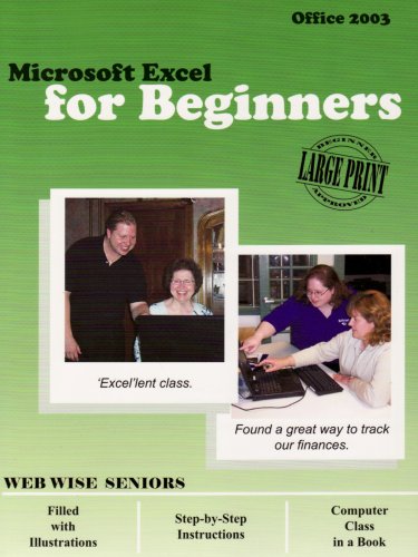 9781933404523: Microsoft Excel for Beginners