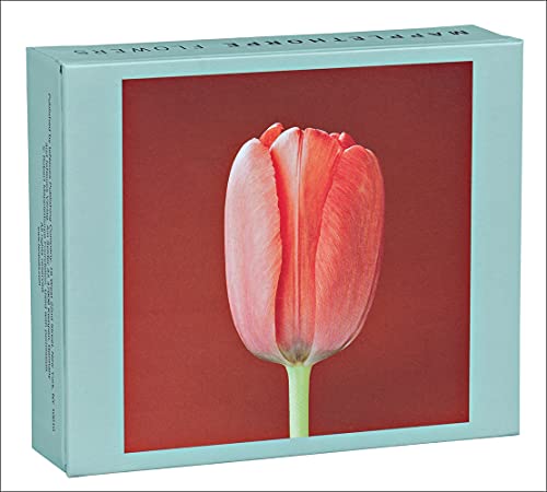 Beispielbild fr Mapplethorpe Flowers QuickNotes: Our Standard Size Set of 20 Notecards in a box with Magnetic Closure zum Verkauf von Books From California