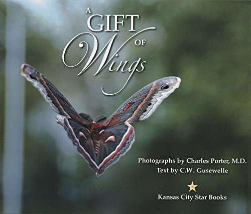 Beispielbild fr A Gift of Wings zum Verkauf von Mark Henderson