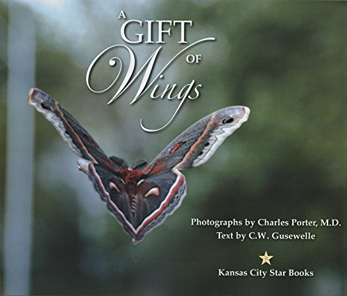 Stock image for A Gift of Wings for sale by HPB-Ruby