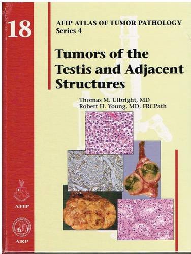 9781933477213: Tumors of the Testis and Adjacent Structures (AFIP Atlas of Tumor Pathology, Series 4,)