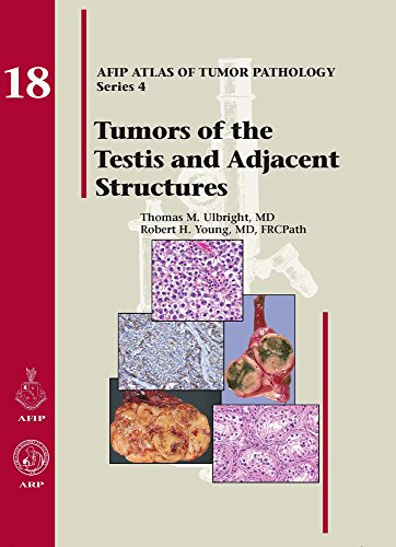 Stock image for Tumors of the Testis and Adjacent Structures (AFIP Atlas of Tumor Pathology, Series 4) for sale by SecondSale