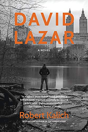 Stock image for DAVID LAZAR: A Novel for sale by Decluttr