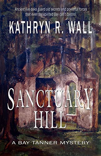 Stock image for Sanctuary Hill (Bay Tanner Mystery) for sale by SecondSale