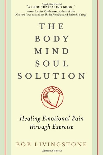 Stock image for The Body Mind Soul Solution : Healing Emotional Pain Through Exercise for sale by Better World Books