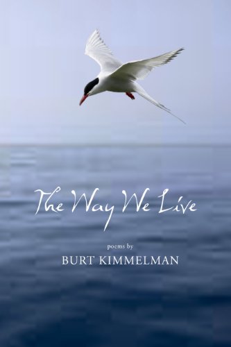 9781933675640: The Way We Live