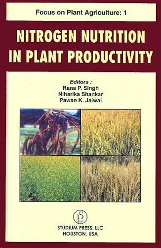 Stock image for Nitrogen Nutrition Inplant Productivity for sale by dsmbooks