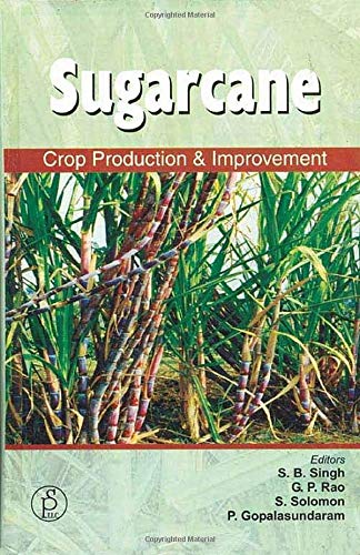 Stock image for SUGARCANE: CROP PRODUCTION AND IMPROVEMENT for sale by Romtrade Corp.