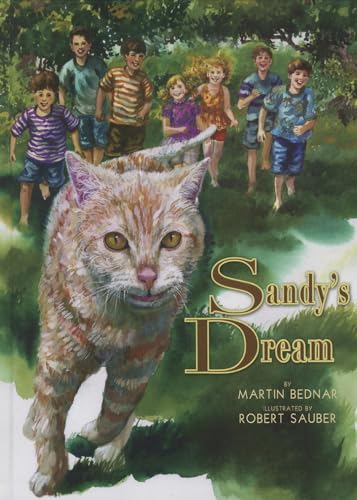 9781933732053: Sandy's Dream