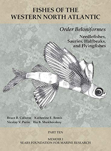 Stock image for Order Beloniformes: Needlefishes, Sauries, Halfbeaks, and Flyingfishes: Part 10 (Fishes of the Western North Atlantic) for sale by Midtown Scholar Bookstore