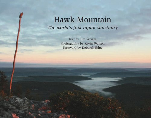 Imagen de archivo de Hawk Mountain: The World's First Raptor Sanctuary a la venta por Silent Way Books