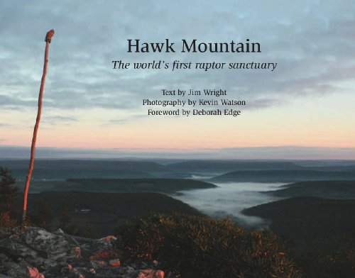 9781933822129: Hawk Mountain: The World's First Raptor Sanctuary