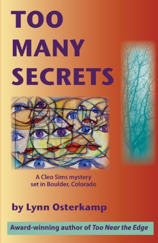 Stock image for Too Many Secrets for sale by mountain