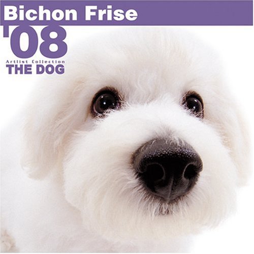 Bichon Frise 2008 Square Wall Calendar (German, French, Spanish and English Edition) (9781933839523) by BrownTrout Publishers