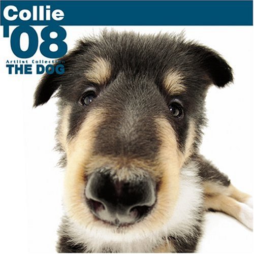 Collie 2008 Square Wall Calendar (German, French, Spanish and English Edition) (9781933839615) by BrownTrout Publishers
