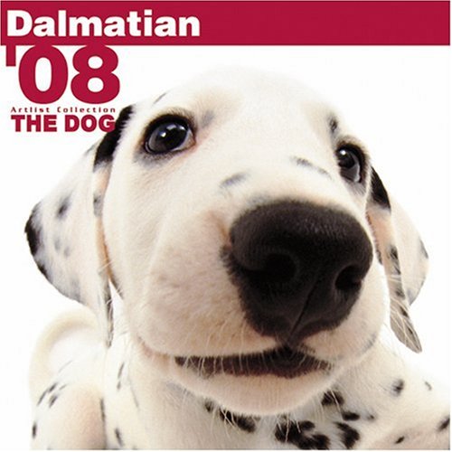 Dalmatian 2008 Square Wall Calendar (German, French, Spanish and English Edition) (9781933839639) by BrownTrout Publishers