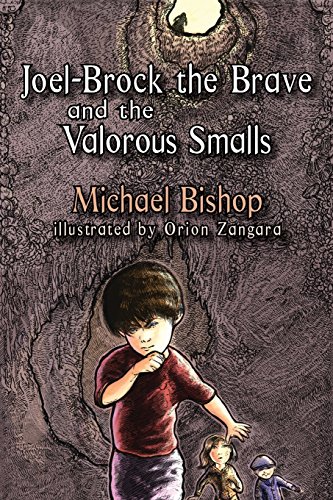 9781933846583: Joel-Brock the Brave and the Valorous Smalls