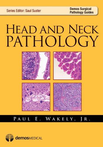 Stock image for Head and Neck Pathology (Demos Surgical Pathology Guides) for sale by suffolkbooks