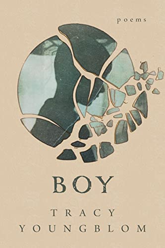 Beispielbild fr Boy (Emerging Voices) zum Verkauf von Books From California