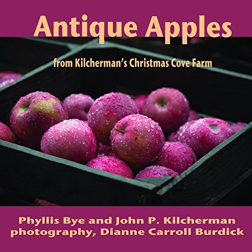Stock image for Antique Apples for sale by Blue Vase Books