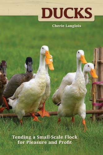 Stock image for Ducks: Tending a Small-Scale Flock for Pleasure and Profit (CompanionHouse Books) Choosing the Right Breeds, Housing, Diet, Breeding, Duckling Care, Health, Handling, & Egg Harvesting (Hobby Farm) for sale by Jenson Books Inc
