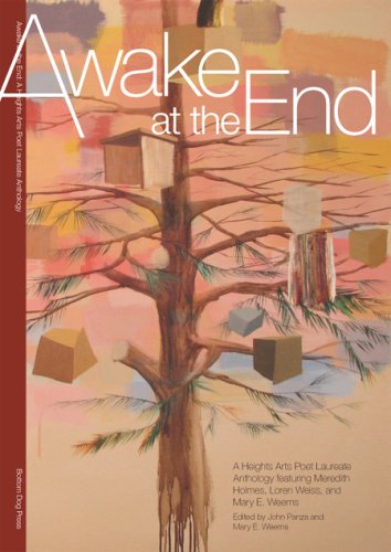 Stock image for Awake at the End: A Heights Arts Poet Laureate Anthology for sale by SmarterRat Books