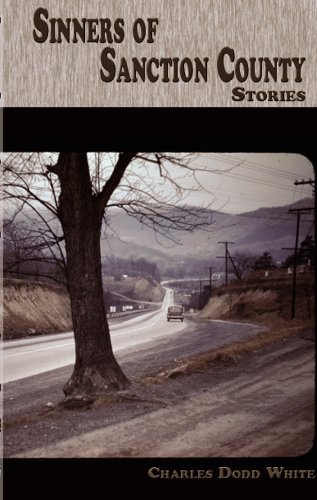 Stock image for Sinners of Sanction County (Appalachian Writing) for sale by SecondSale