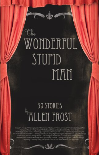 Stock image for The Wonderful Stupid Man: Stories for sale by Mispah books
