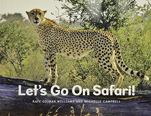 Imagen de archivo de Let's Go on Safari a la venta por Orion Tech