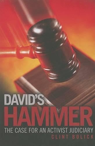 Beispielbild fr David's Hammer: The Case for an Activist Judiciary zum Verkauf von Buchmarie