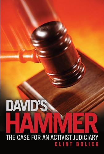 Stock image for David's Hammer:The Case for an Activist Judiciary for sale by Renaissance Books