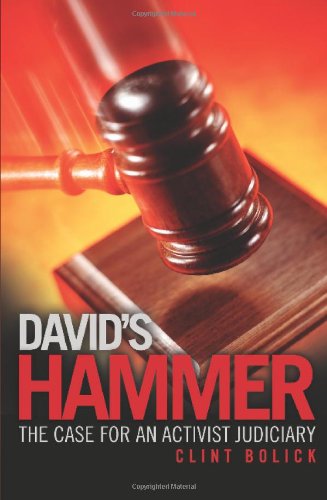 Beispielbild fr David's Hammer: The Case for an Activist Judiciary zum Verkauf von SecondSale