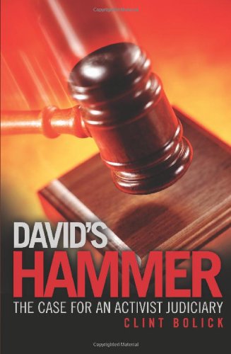 Stock image for David's Hammer: The Case for an Activist Judiciary for sale by Bookmarc's