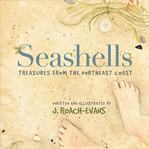 Beispielbild fr Seashells : Treasures from the Northeast Coast zum Verkauf von Better World Books